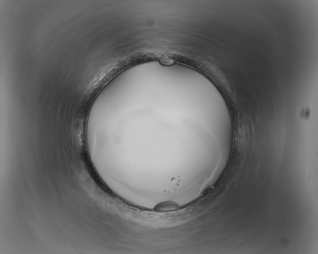 X0000115690023200912031453