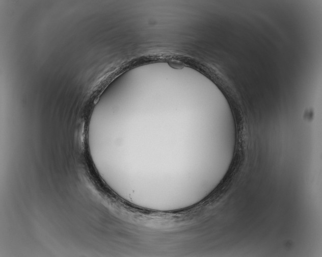X0000115690024200912031453