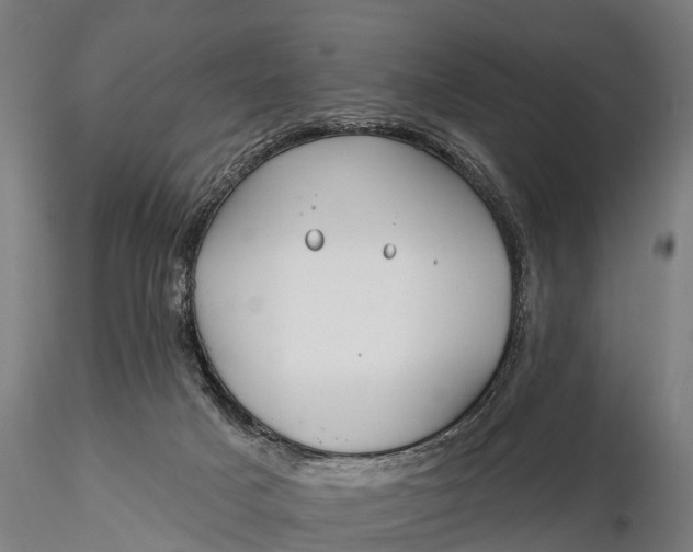 X0000115690025200912031453