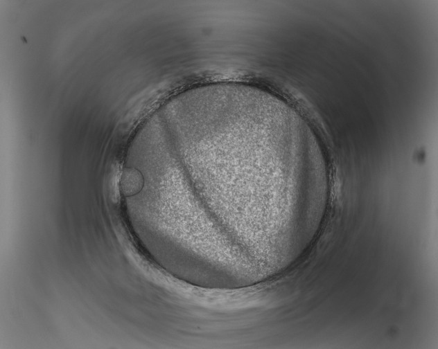 X0000115690026200912031453