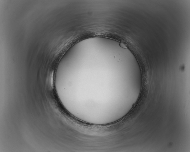 X0000115690028200912031453