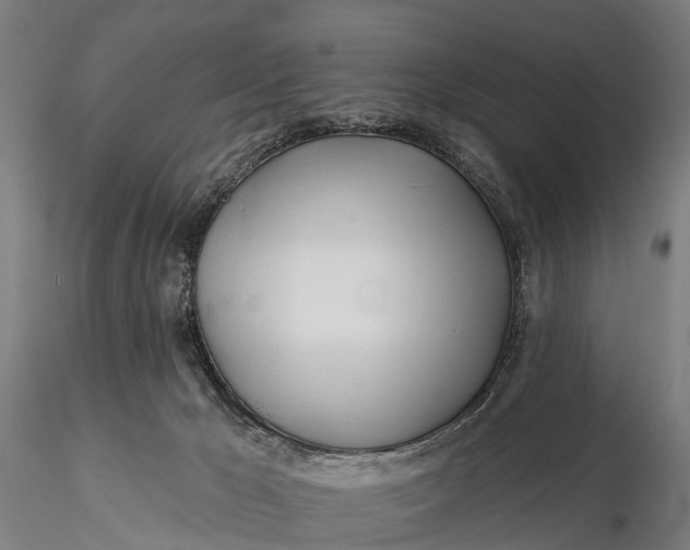 X0000115690029200912031453