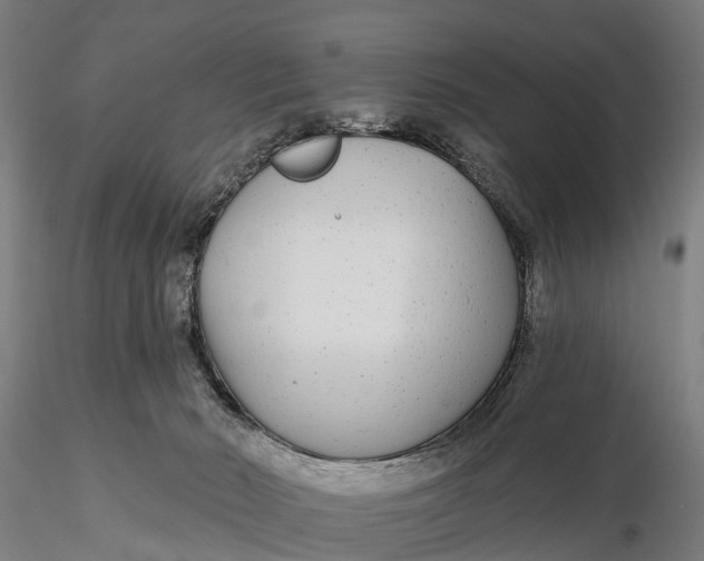 X0000115690030200912031453