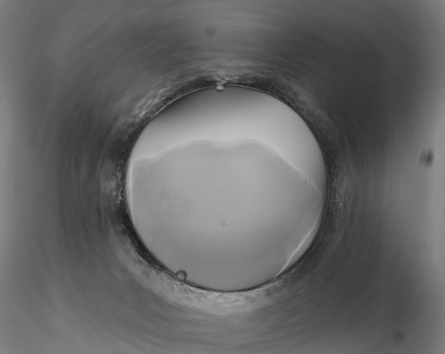 X0000115690031200912031452