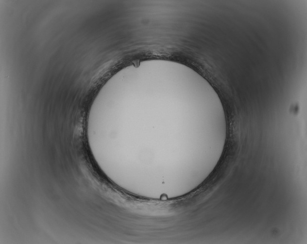 X0000115690032200912031452