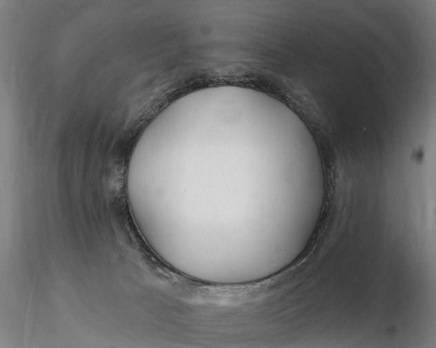 X0000115690033200912031452