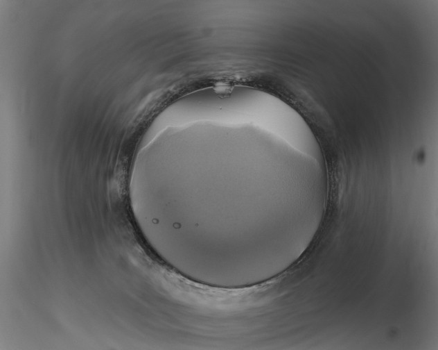 X0000115690035200912031452