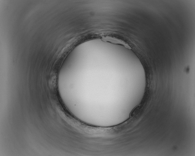 X0000115690036200912031452