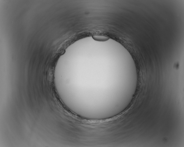 X0000115690037200912031452