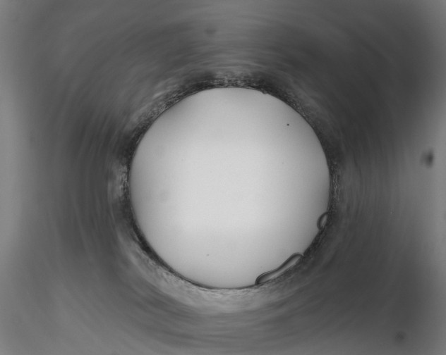 X0000115690038200912031452