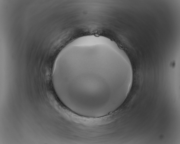 X0000115690039200912031452