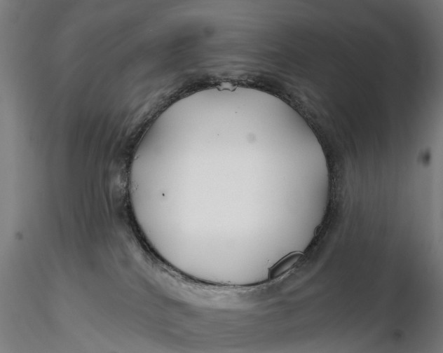 X0000115690040200912031452