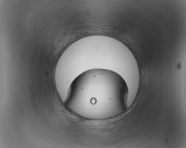 X0000115690041200912031452