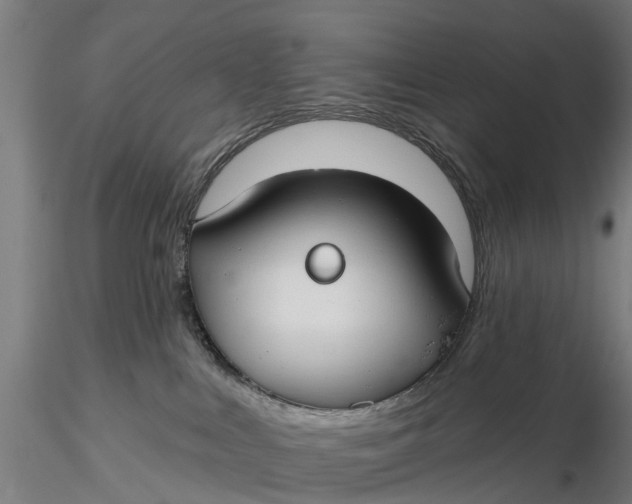 X0000115690043200912031452