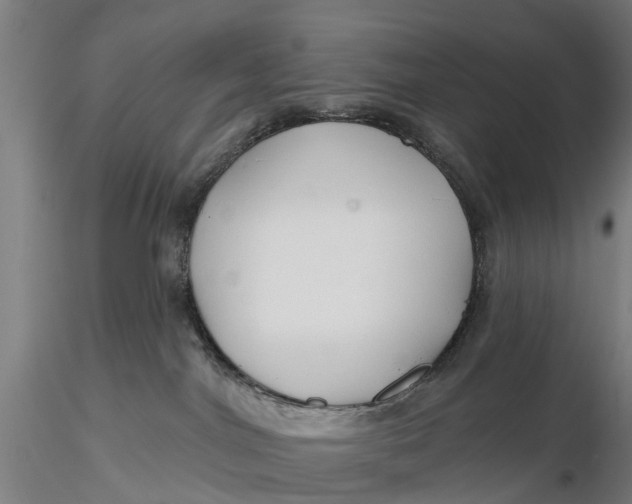 X0000115690044200912031452