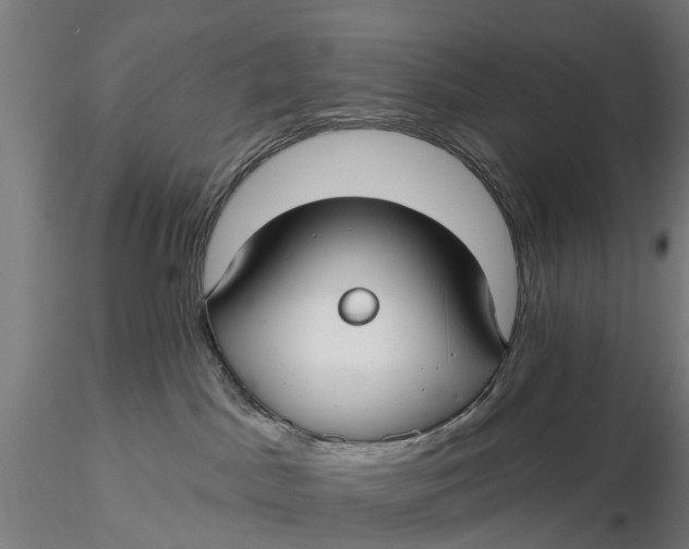 X0000115690045200912031452