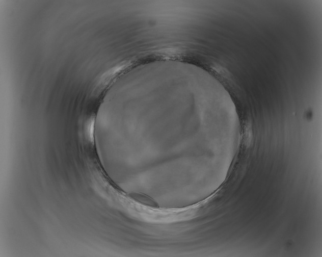 X0000115690047200912031452