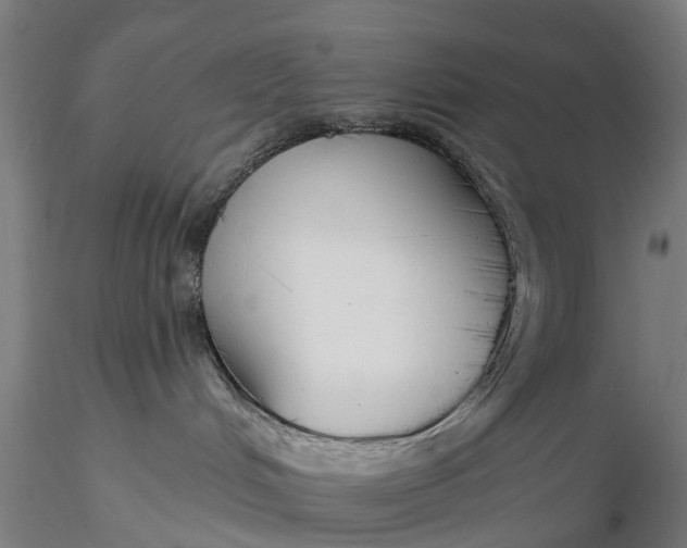 X0000115690048200912031452