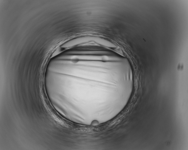 X0000115690049200912031452