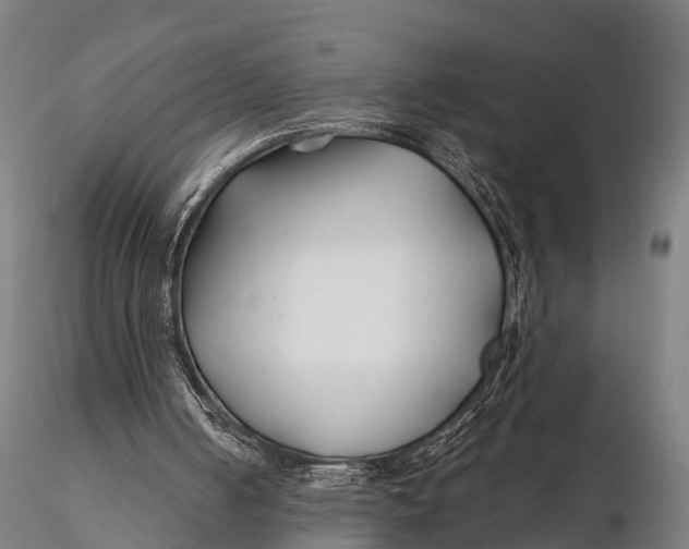 X0000115690050200912031452