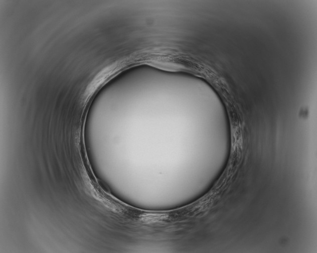 X0000115690051200912031452