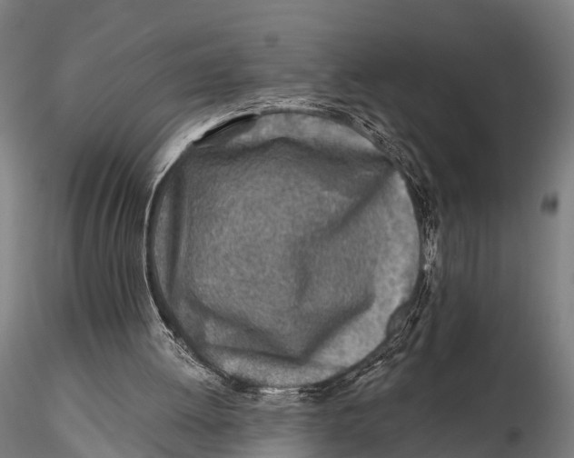 X0000115690052200912031452