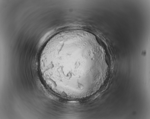 X0000115690053200912031452