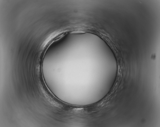 X0000115690054200912031452