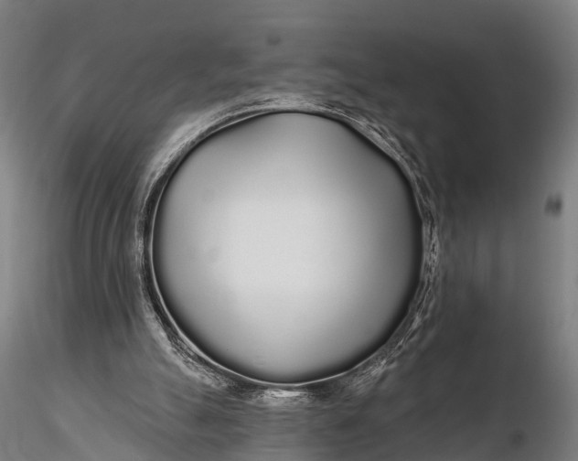 X0000115690055200912031452