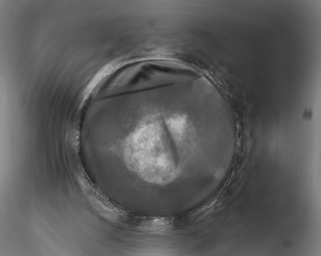 X0000115690056200912031452