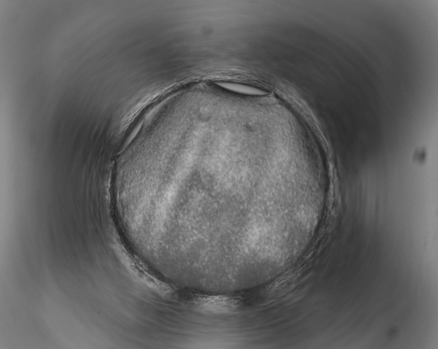 X0000115690058200912031452