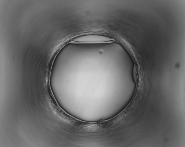 X0000115690059200912031452