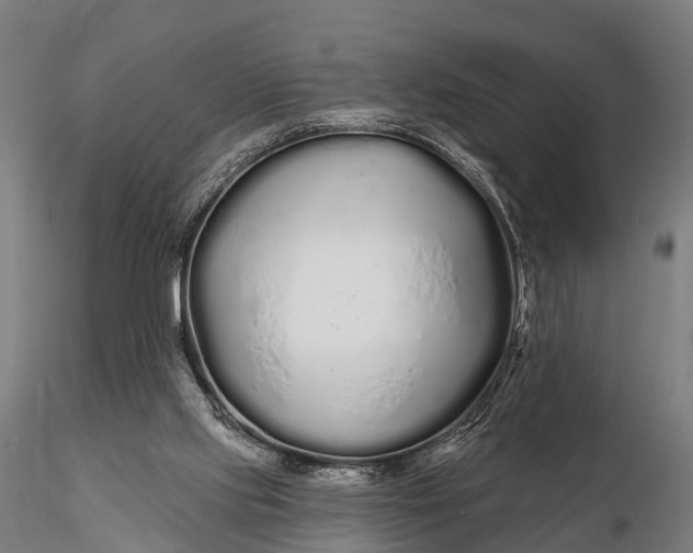 X0000115690061200912031452