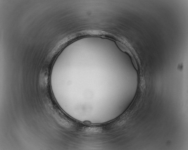 X0000115690063200912031452