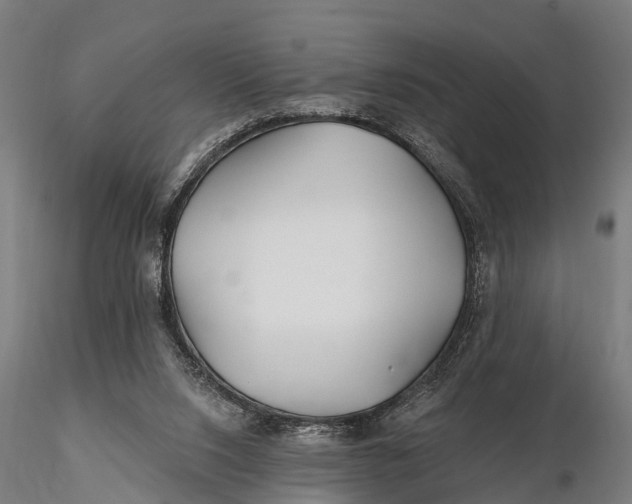 X0000115690064200912031452