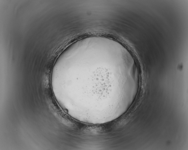 X0000115690065200912031452