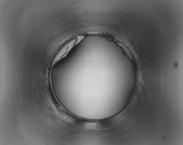 X0000115690066200912031452