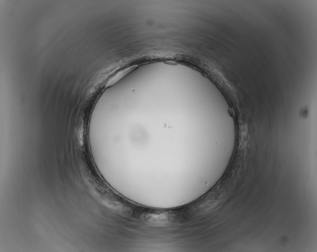 X0000115690068200912031452