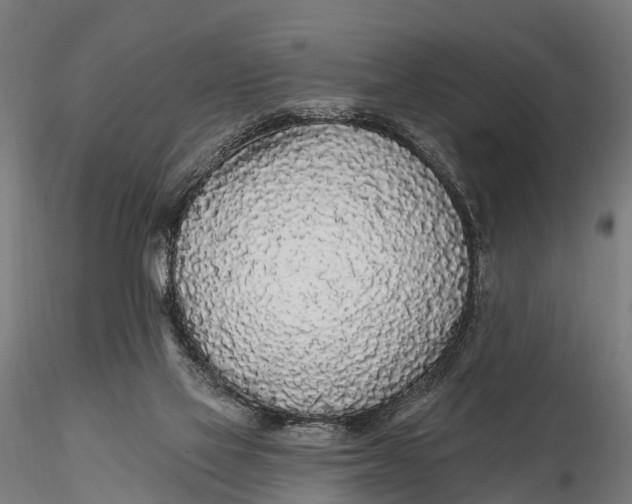 X0000115690069200912031452
