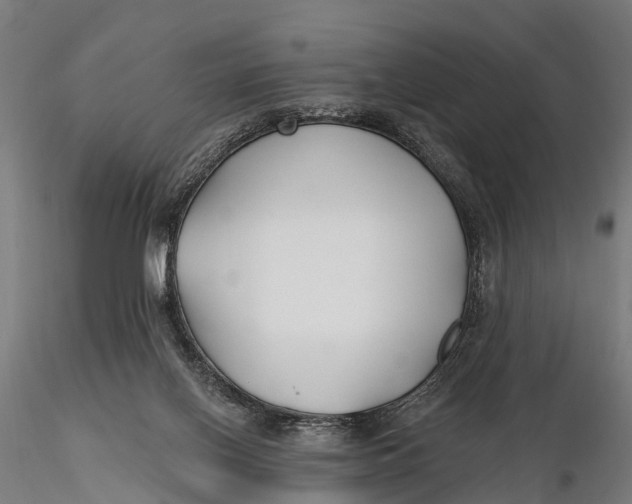 X0000115690070200912031452