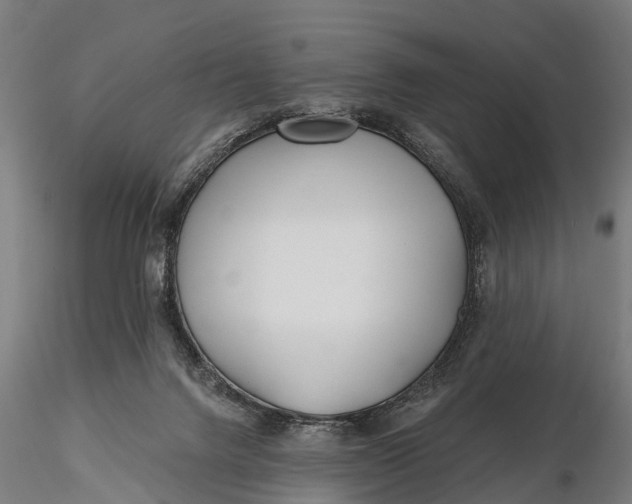 X0000115690072200912031452