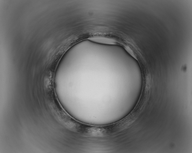 X0000115690073200912031452