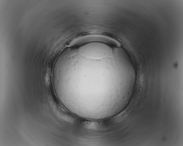 X0000115690074200912031452