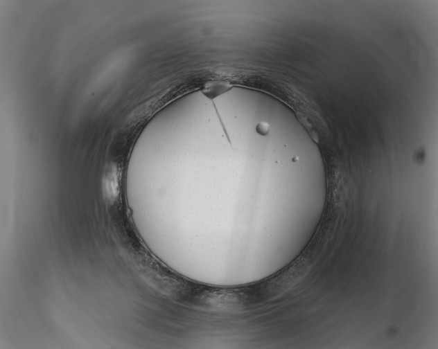 X0000115690075200912031452