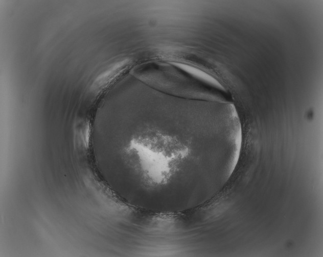 X0000115690076200912031452