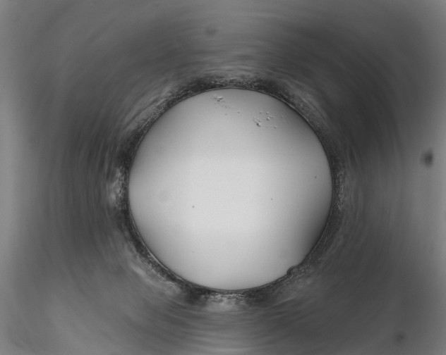 X0000115690077200912031452