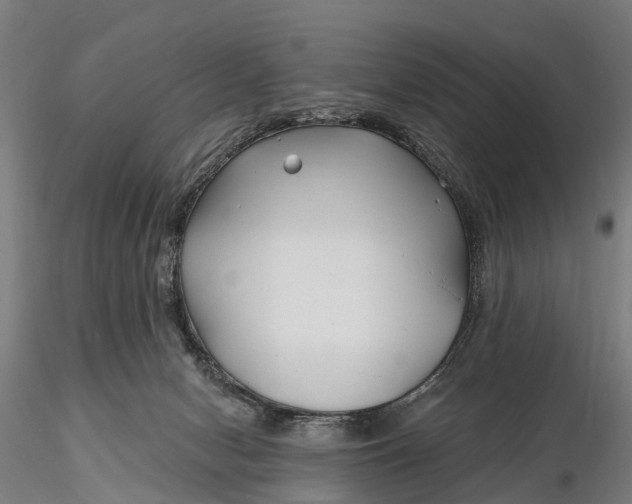 X0000115690078200912031452