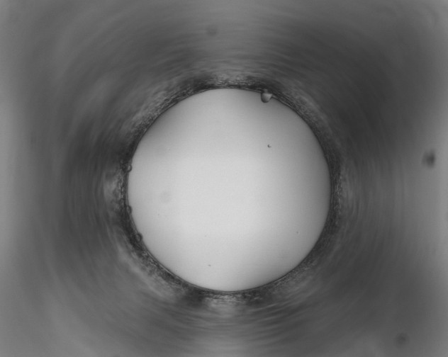 X0000115690079200912031452