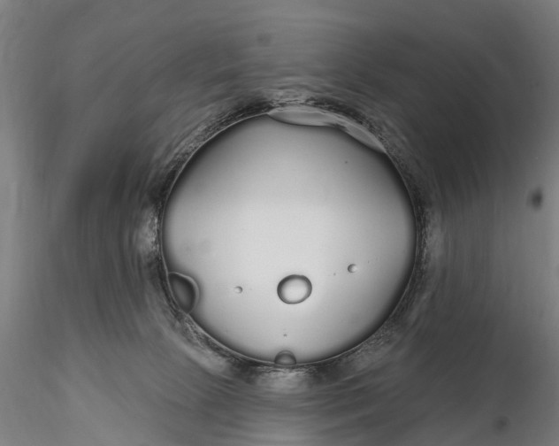 X0000115690081200912031452