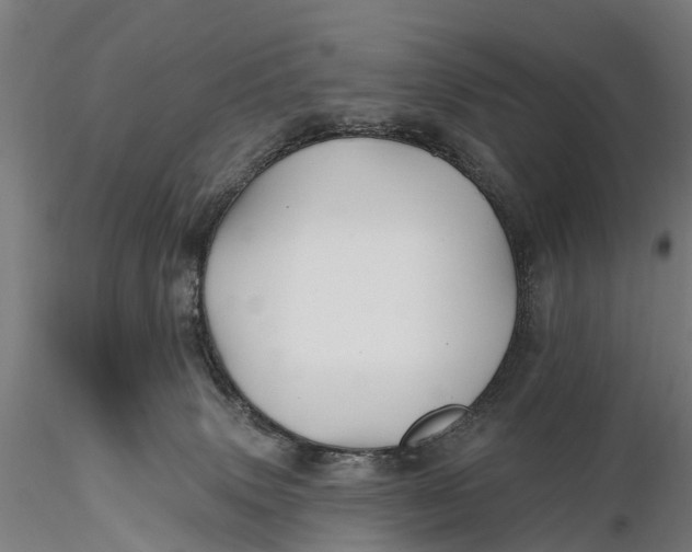 X0000115690083200912031452